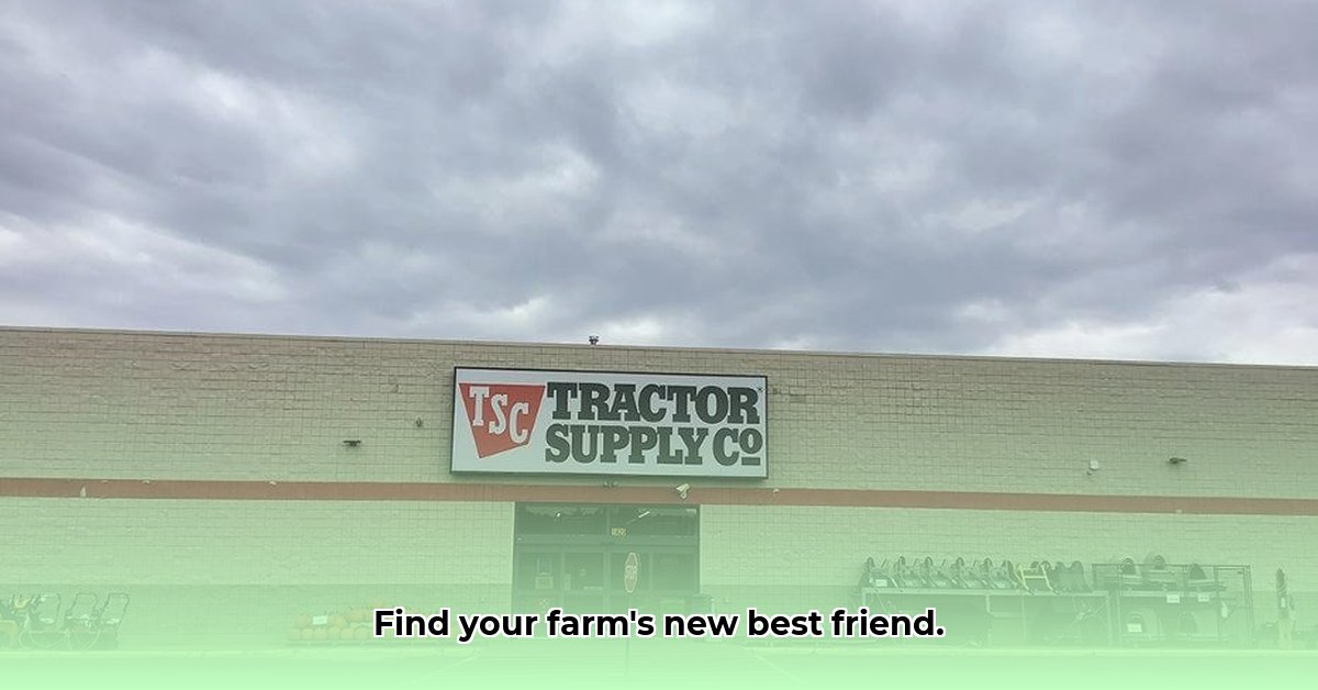 tractor-supply-caledonia-mi